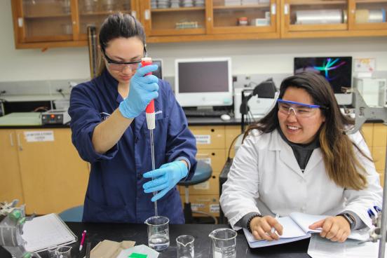 Students in a Chemistry Lab