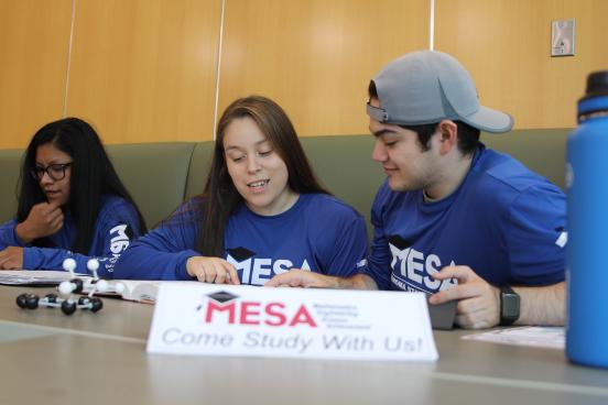 Students studying together