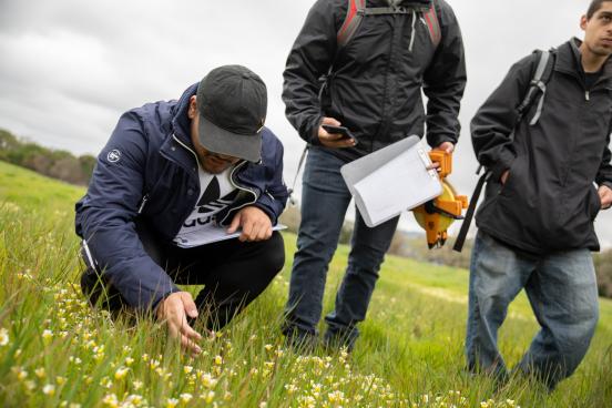 Students doing research in a field